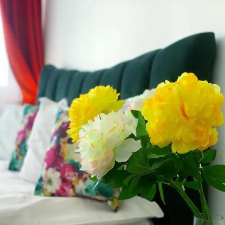 Apartament Red Kluż-Napoka